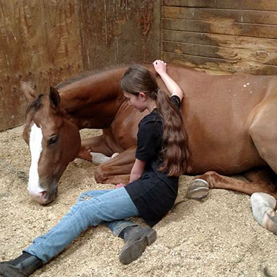 Deerfield Farm Lesson Horse