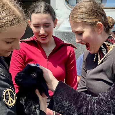 Deerfield 2022 equestrian team member petting black baby goat